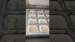This Is How Disposable Plate Is Made By Using Sugarcane Waste