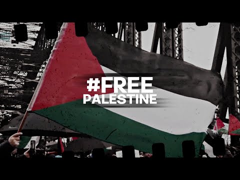 Auction 4 Gaza | Want a video from me? [JOIN NOW]