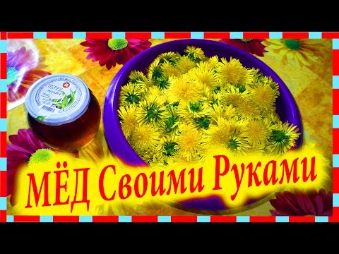 Как сделать варенье из одуванчиков (ЦЕЛЕБНОЕ) Как сделать варенье из одуванчиков (ЦЕЛЕБНОЕ)