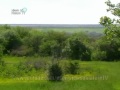 Видео природа Украины - донецкий кряж - степь - лето.mpg