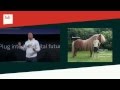 Christoph Sollich: RydeMyPony | hub conference