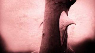 Watch On Thorns I Lay Afraid To Believe video