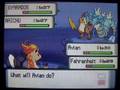 Pokemon Platinum Where To Get Shiny Stone Route 210