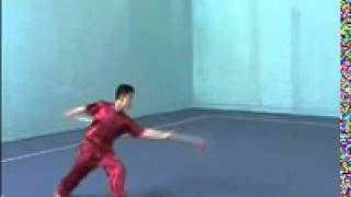 Qiangshu Guiding 3 (centre wushu sport) kung fu grenoble