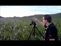 Landscape Photography Tips: Wildflower Sunrise in Idaho