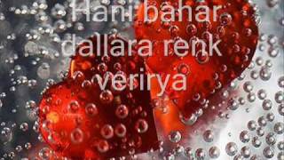 Seni Seviyorum 1.Wmv