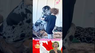 The Sweetest Hugs Between Baby & Dog