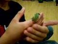 Reptile Room Episode 1 Video