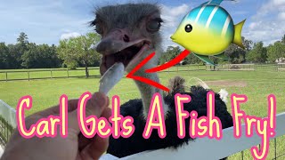 Carl has a fish fry!