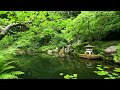 Deep Sleep Music And Nature Sounds Zen Garden Hd Relaxing images Deep Sleep Music And Nature Sounds Zen Garden Hd Relaxing