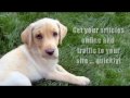 The Article Dog's Article Traffic Tip: The Implied Payoff