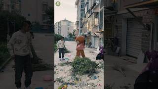 Panda Funny Video