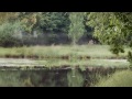 Alain Souchon et Laurent Voulzy - Oiseau malin (Lyrics video)