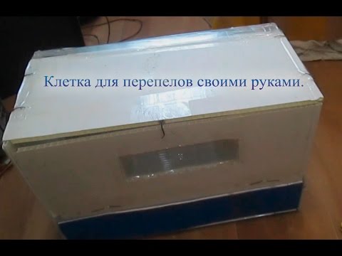 Клетки для перепелов ютуб Клетки для перепелов ютуб