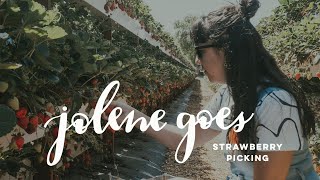 Jolene goes Strawberry Picking
