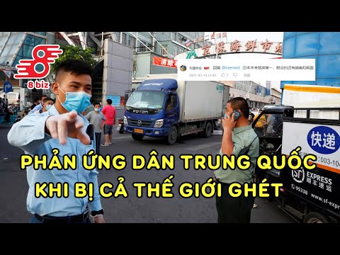 Dân Mạng Trung Quốc nói gì khi cả thế giới ghét, Người Việt Nam có ghét Trung Quốc? | 8BIZ