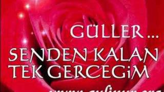 Kirmizi Güller .Gulinur