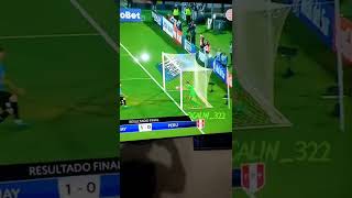 Robo Mundial Peru Vs Uruguay