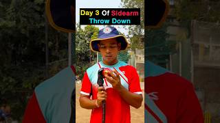 Day 3 Of Sidearm Throw Down