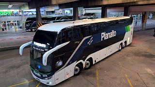 Belíssimos Ônibus Na Rodoviária De Curitiba.