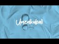 JOEL LWAGA - UMENIKUBALI (Official Lyric Video)