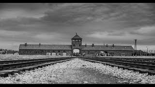 Untold Stories From The Holocaust