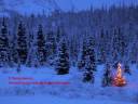Oh Christmas Tree - O Tannenbaum - Christmas Tree Light Day ecards - Events Greeting Cards