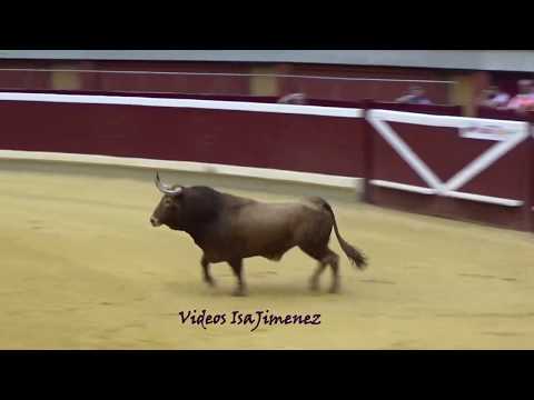 Logroño (La Rioja) - 16/09/2018 - Final - HD