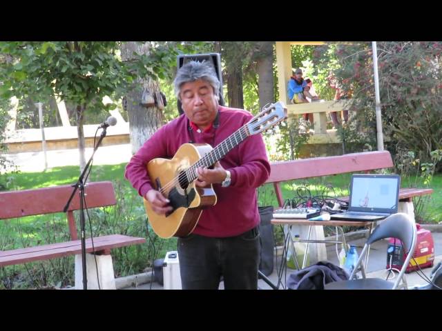 Street Busker Rocks Out Acoustic Guitar In Chile - Video