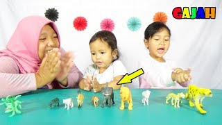 Buka Mainan Baru ❤ Belajar Mengenal Nama Binatang || Kuda Gajah Harimau Singa Badak