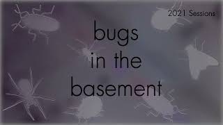 Bugs In The Basement - Cacopsylla Mali aka The Apple Sucker