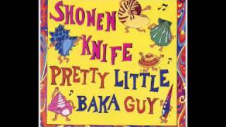 Watch Shonen Knife Ice Cream City video