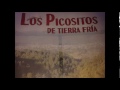 LOS PICOSITOS DE TIERRA FRIA mi gente de michoacan