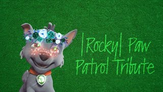 Rocky Tribute Paw Patrol Sugar