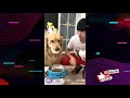 This video is unavailable