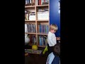 Io Ballo Da Sola images Io Ballo Da Sola