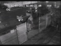 Queens Rape Sut Caught On Camera images Queens Rape Sut Caught On Camera