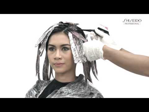 Step by Step Coloring Primience Shiseido Professional Step by Step Coloring Primience Shiseido Professional #1