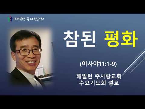 수요기도회설교