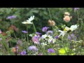 Une jardinière en Belgique : Isabelle Une jardinière en Belgique : Isabelle