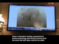 BALTIC SEA UFO Dive VIDEO Footage (TRANSLATED)
