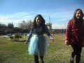 mis xv wonderland
