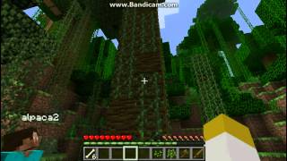 Rumble In The Jungle, Part 4