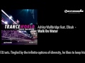 Ashley Wallbridge feat. Elleah - Walk On Water