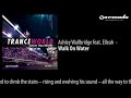 Ashley Wallbridge feat. Elleah - Walk On Water