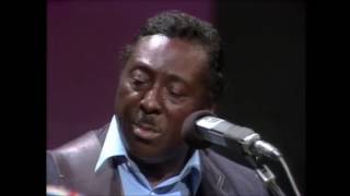 Watch Albert King Im Gonna Move To The Outskirts Of Town Live video