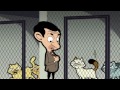 image Mr Bean Animated Series Dead Cat