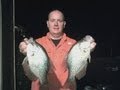 Crappie Fishing Hiwassee River Tennessee