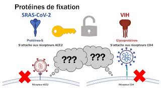 Épisode 2 - Un monde de virus: Biologie moléculaire