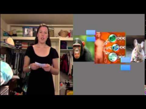 cosmetic animal testing persuasive speech cosmetic animal testing persuasive speech